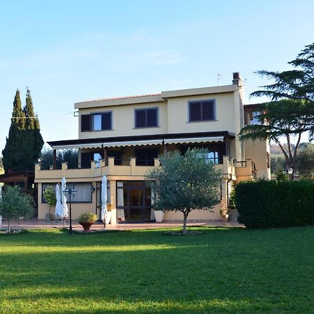 شيفيتافيكْيا Bed And Breakfast La Corte Degli Ulivi المظهر الخارجي الصورة