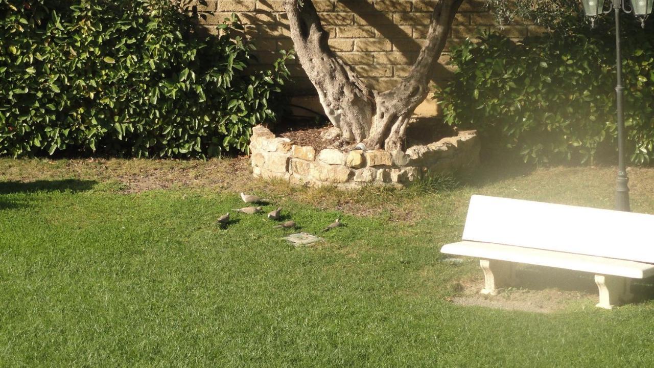 شيفيتافيكْيا Bed And Breakfast La Corte Degli Ulivi المظهر الخارجي الصورة